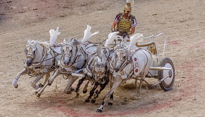 Colosseum gladiator met paard en wagen